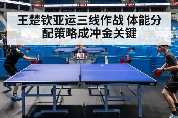 table tennis competition