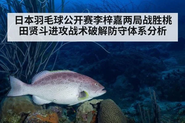 日本羽毛球公开赛李梓嘉两局战胜桃田贤斗进攻战术破解防守体系分析